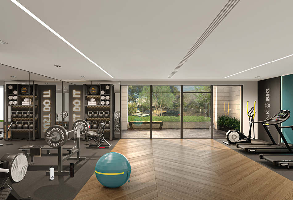 אלמוג כרמל מערב חיפה