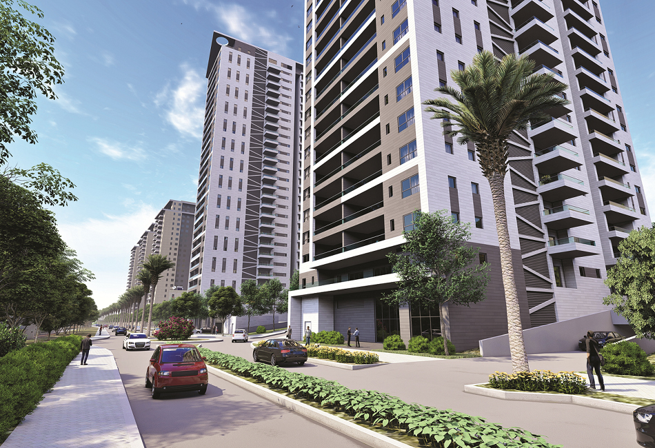 אלמוג כרמל מערב חיפה