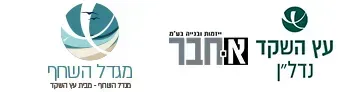 מגדל השחף