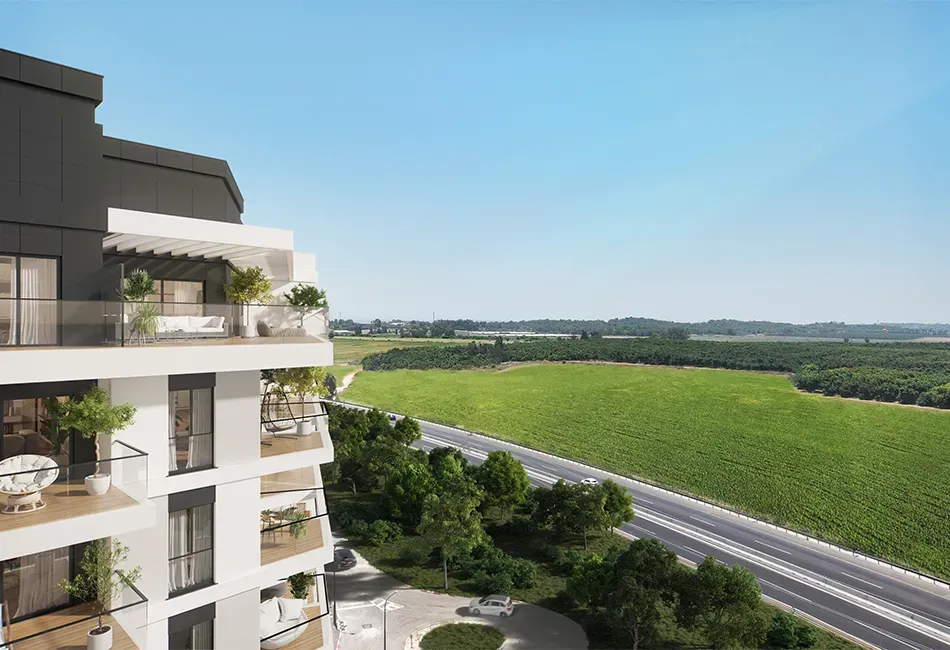 מערבה רחובות