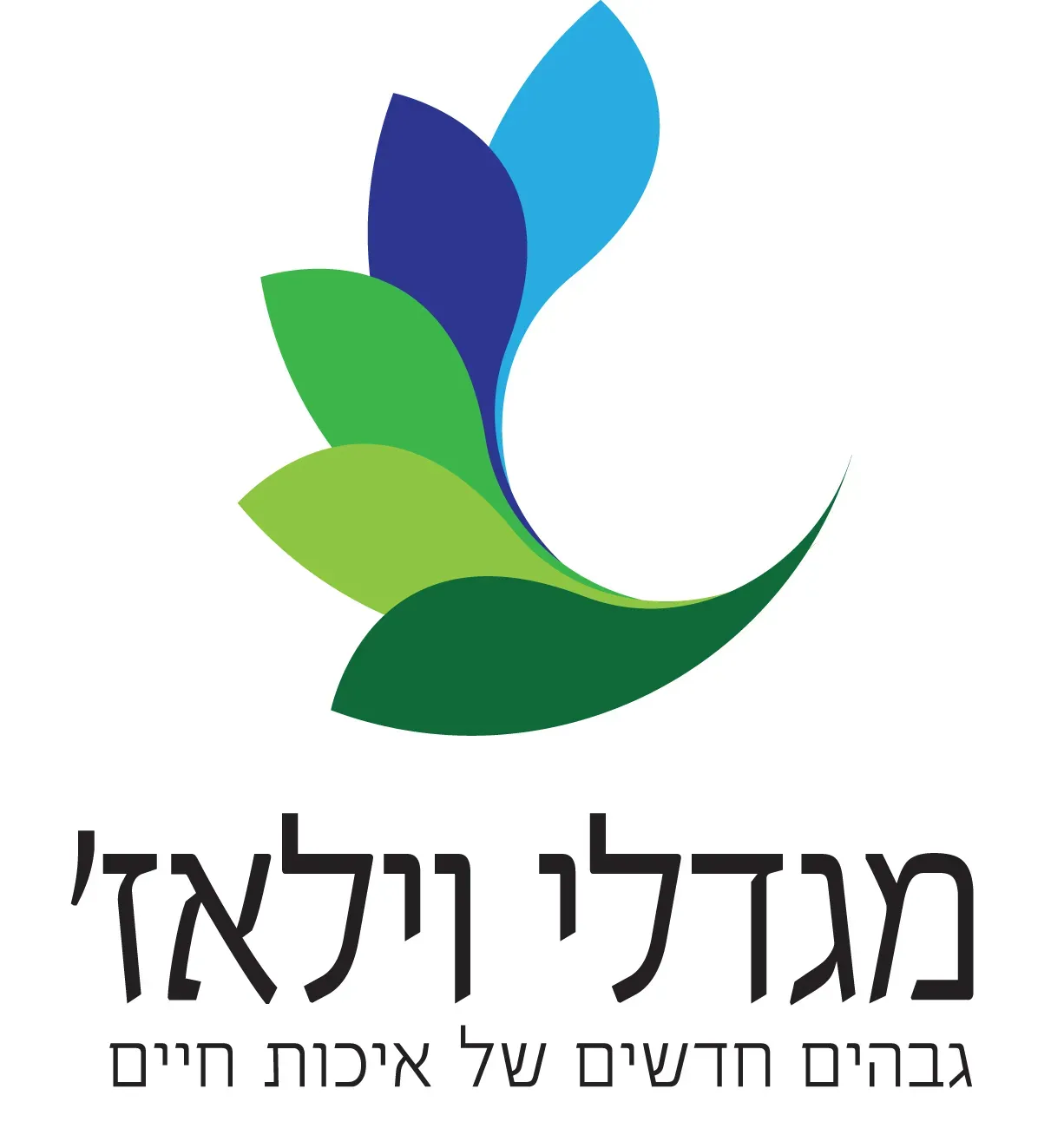 שמשון זליג - מגדלי וילאז'