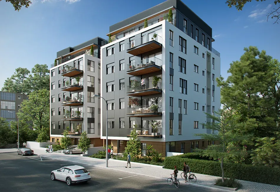 ארז-תירוש, המאירי נאות אפקה