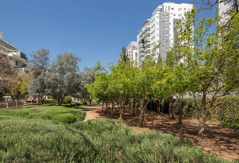 שבירו בגני תקווה