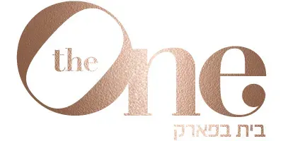 THE ONE אור יהודה