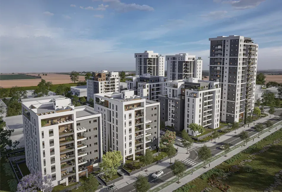 רייסדור כרמי גת